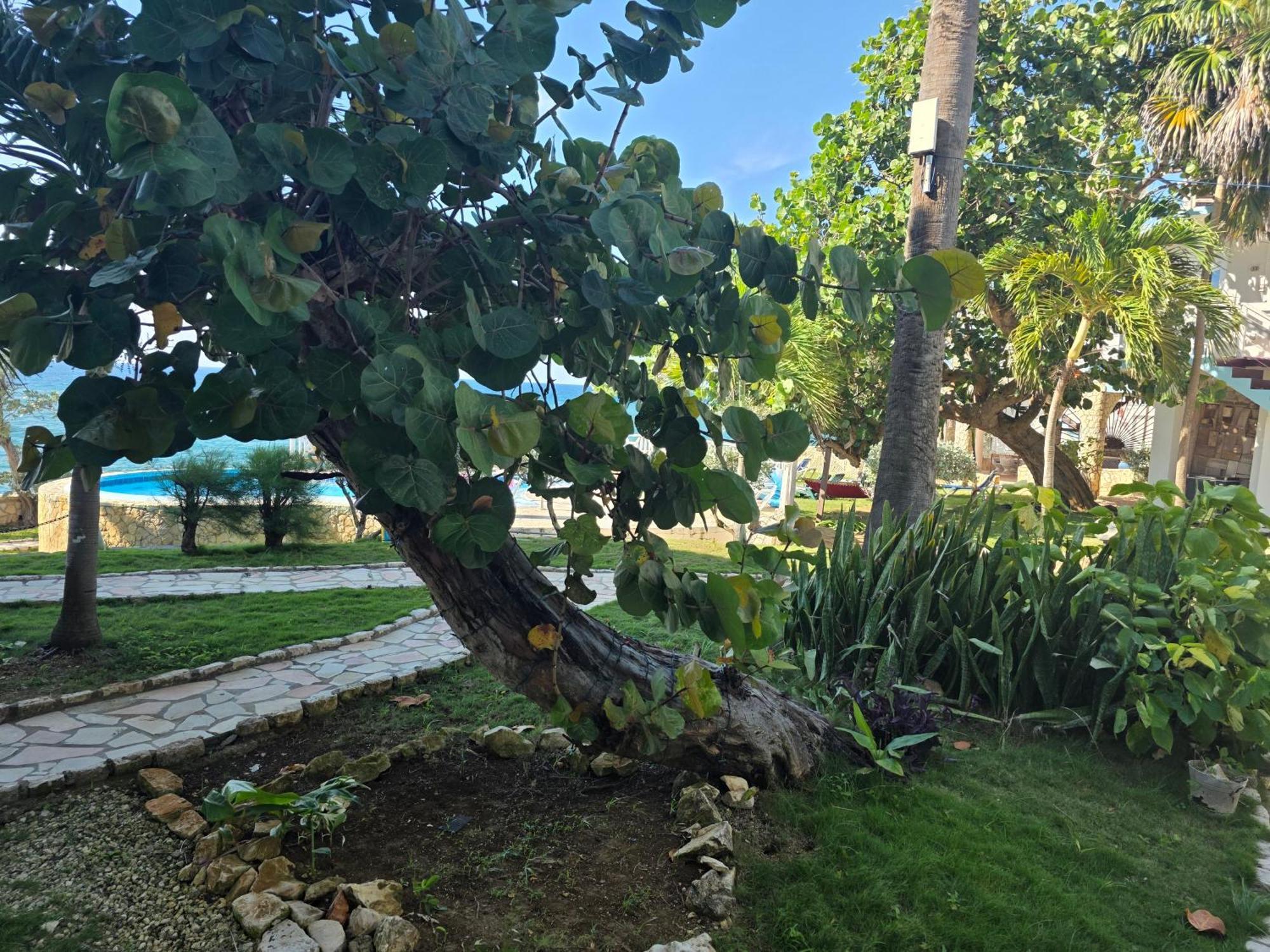 Home Sweet Home Resort Negril Exteriör bild